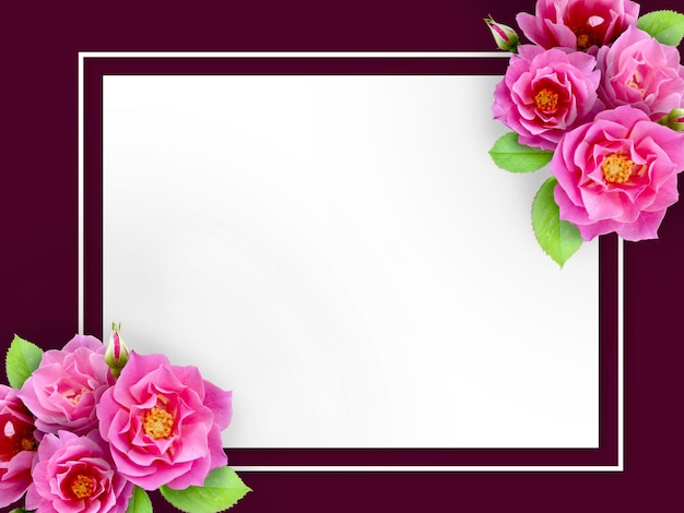 Square frame of Pink blossom rose flowers Template