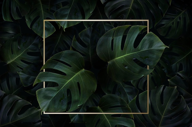 Square golden frame on a tropical background