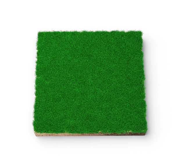 Square of green grass field over white background green grass and Rock ground texture cross section