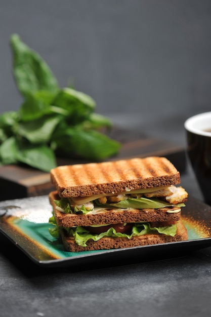 Square sandwich with chicken breast