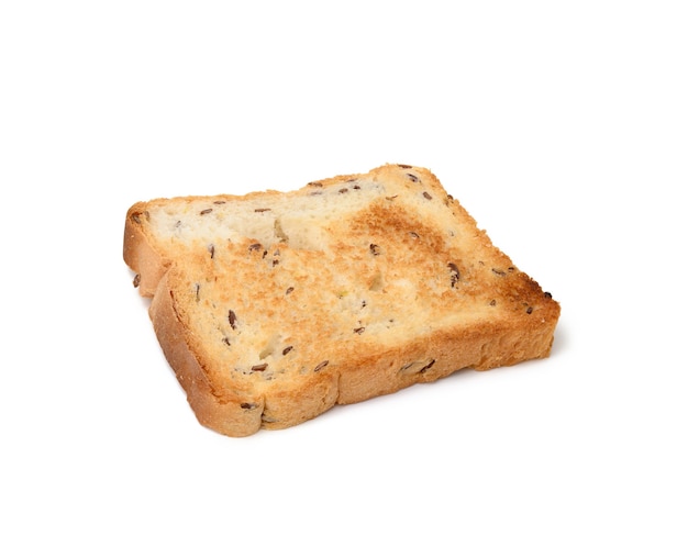 Square slices of bread made from white wheat flour toasted in toaster, top view