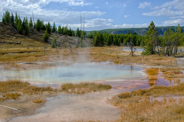 Foto square spring nel parco nazionale di yellowstone con steam rising