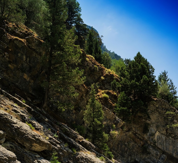 Square vivid Greece mountains summer landscape background