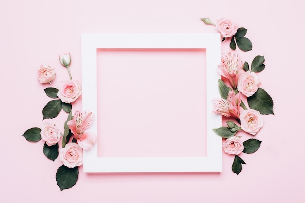 Square white frame and pink roses on pink background Beautiful flower arrangement for your design