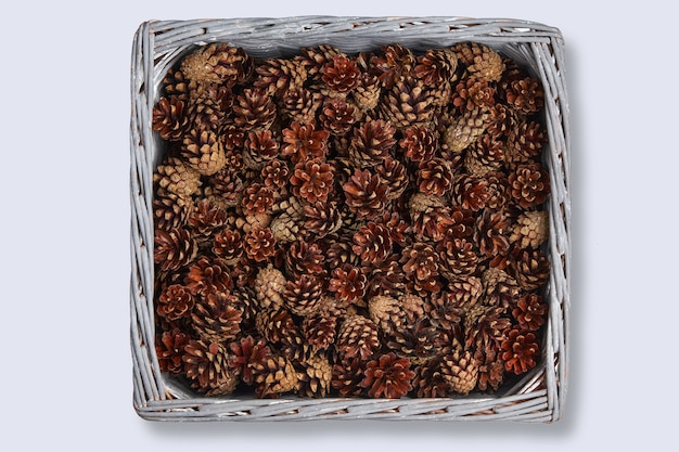 Square wicker basket full of pine cones isolated on white background. Festive Christmas decor