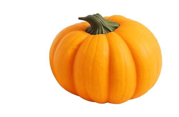 Squash pumpkin isolated on white background