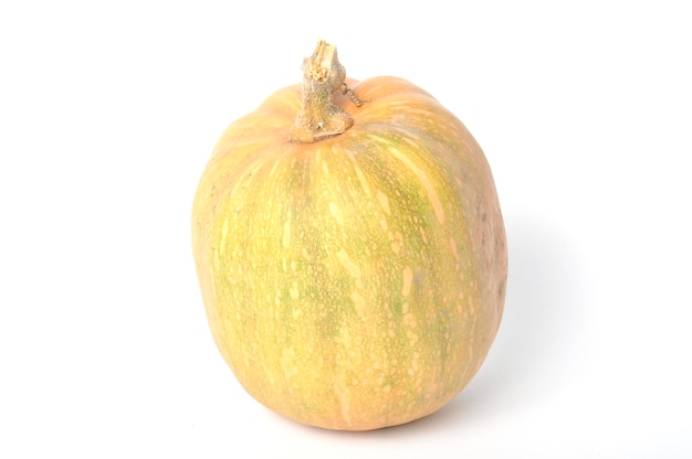 Photo squash on a white background