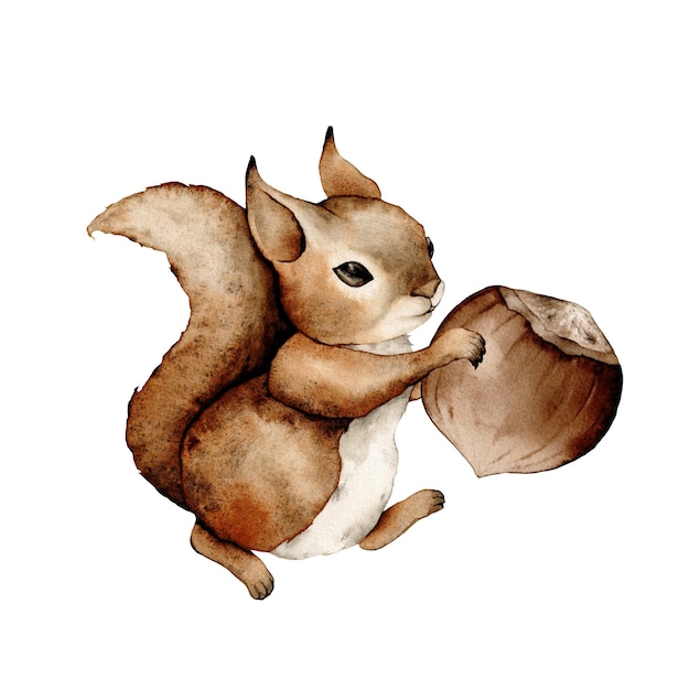 Squirrels and hazelnuts clipart animal character illustration for children adorable nuts