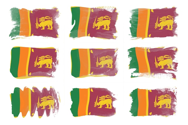 Sri Lanka flag brush stroke, national flag on white background