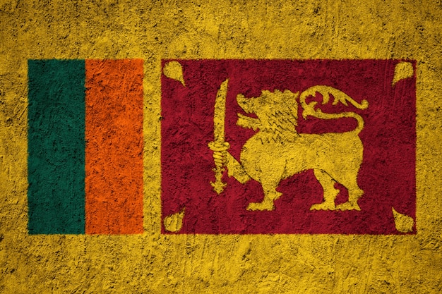 Sri Lanka flag painted on grunge wall