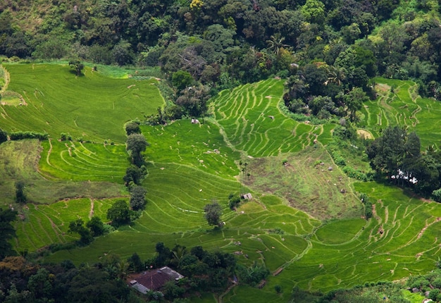 Sri Lanka landscapes