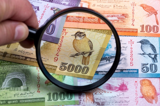 Sri Lankan rupee in a magnifying glass a business background