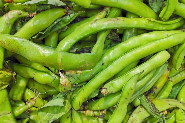 Sstack of fava beans in a market stall
