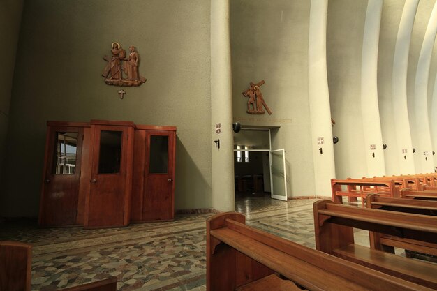 Собор Святого Чарльза Борромео Город Чильян в Чили