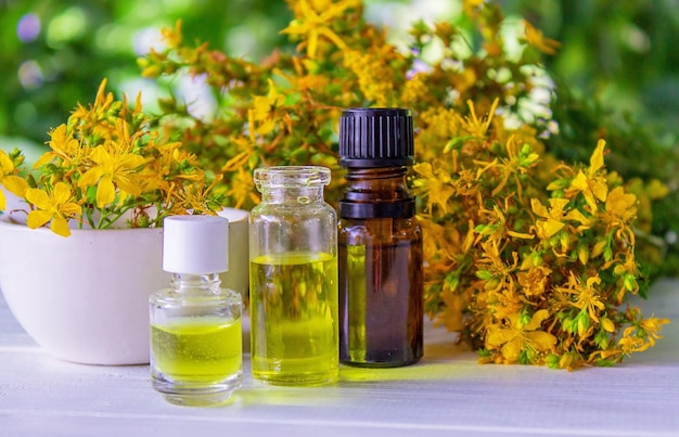 St John's wort essential oil in a small bottle Selective focus