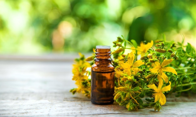 St. John's wort essential oil in a small bottle. Selective focus.