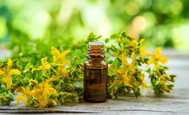 St. John's wort essential oil in a small bottle. Selective focus.