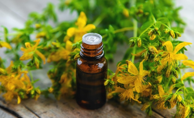 St. John's wort essential oil in a small bottle. Selective focus.