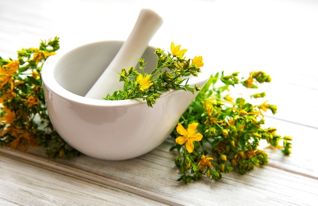 St. John's wort flowers in medical mortar on a white wooden surface