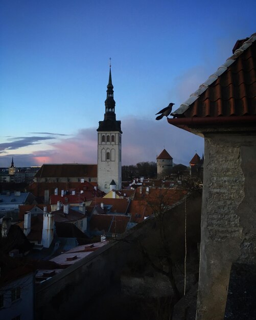 St. Nicholas Church en daken van de oude stad Tallinn Harjumaa Estland maart 2019