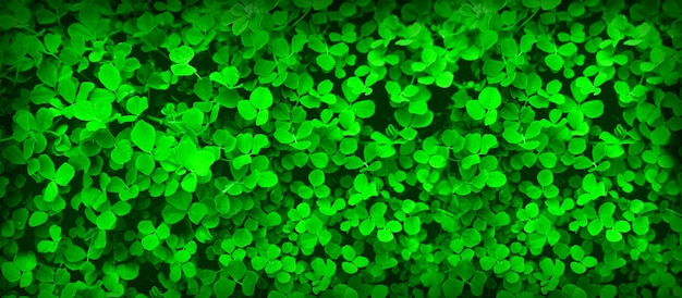 St Patrick's day holiday symbol