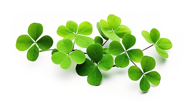 St Patricks Day isolated on white background Generative ai