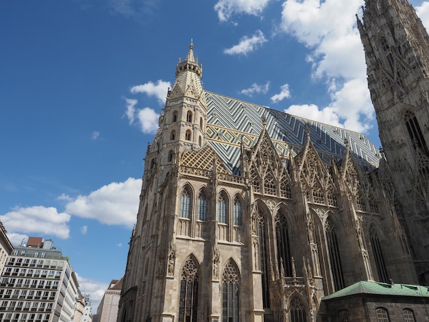 Photo st stephen cathedral in vienna