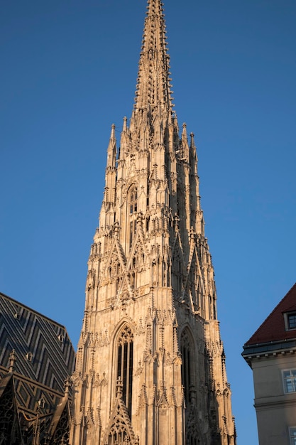 St Stephen's Cathedral Stephansdom Spire in Vienna Austria