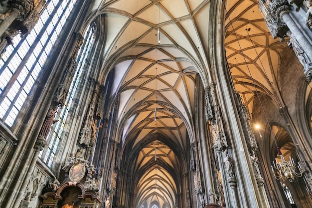 写真 オーストリア、ウィーンのシュテファン大聖堂