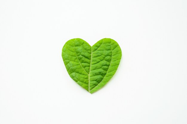 St. Valentine's day. heart is cut from foliage on white background.