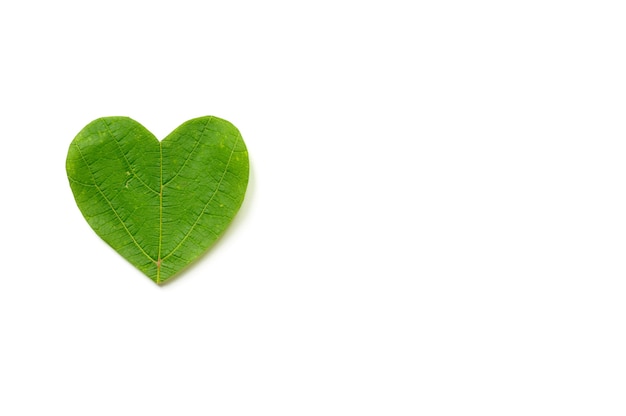 Photo st. valentine's day. the heart is cut from foliage on white background