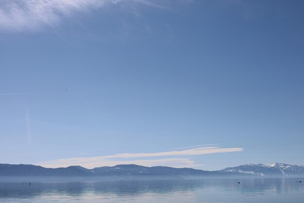 Staatspark Lake Tahoe Sugar Pine