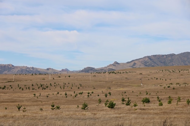 Staatspark San Simeon