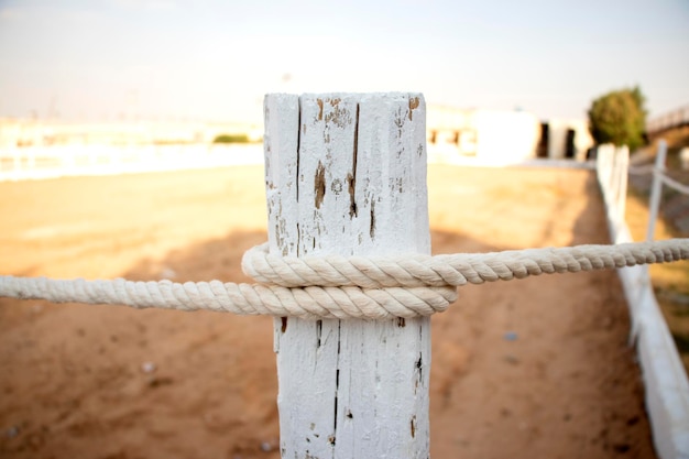 Stable fence board tied with white rope