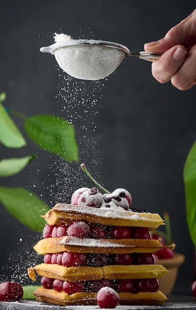 Stack of baked Belgian waffles with ripe red cherries sprinkled with powdered sugar breakfast