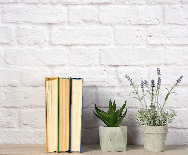 Photo stack of books and flowers in ceramic pots on white brick wall