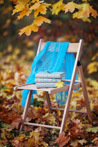 Stack of books forgotten on a chair in park