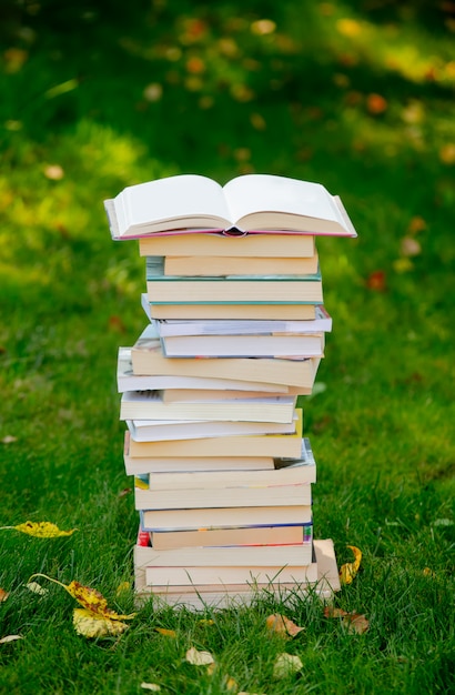 Stack of books on the green grass in autumn