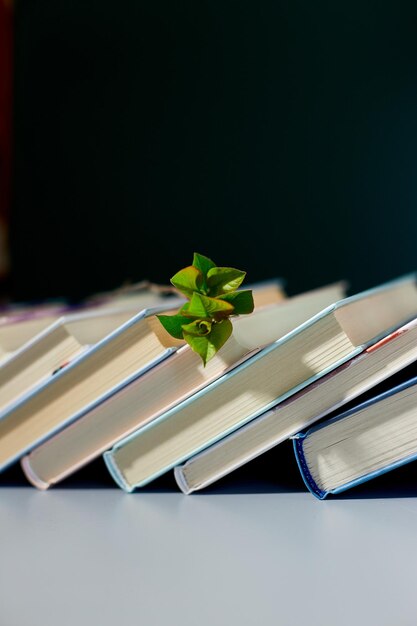 Stack of books with branch flowers World book day knowledge and creativity concept spring summer mood copy space