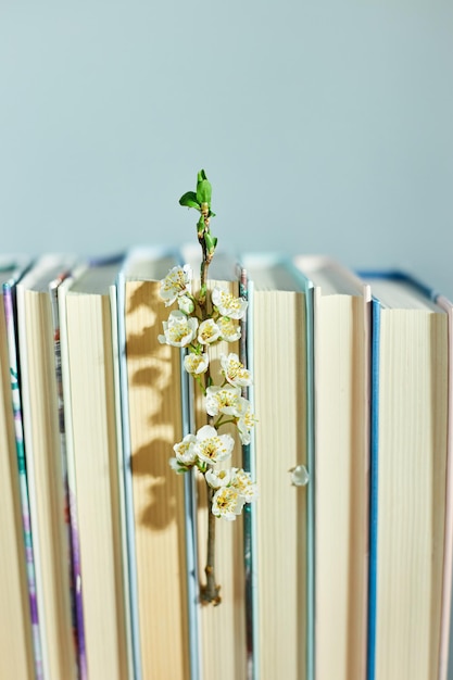 Stack of books with branch flowers World book day