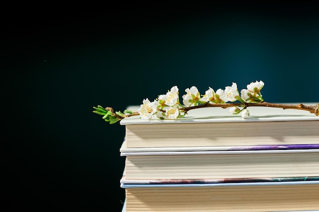 Stack of books with branch flowers World book day