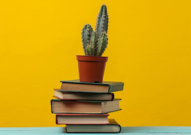 Pila di libri con cactus su giallo