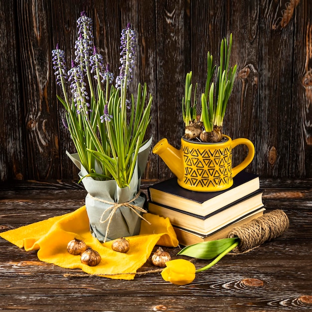 A stack of books with a pot of flowers and a plant in it