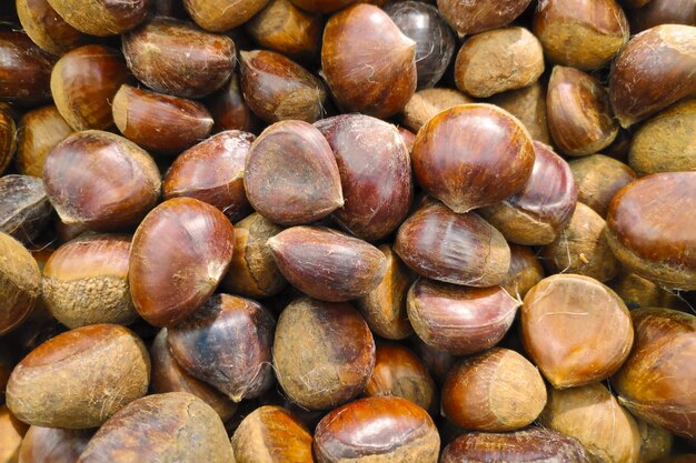 Stack of chestnuts on a market stall