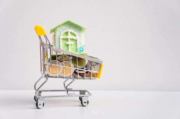 Stack coins and mini house in shopping cart