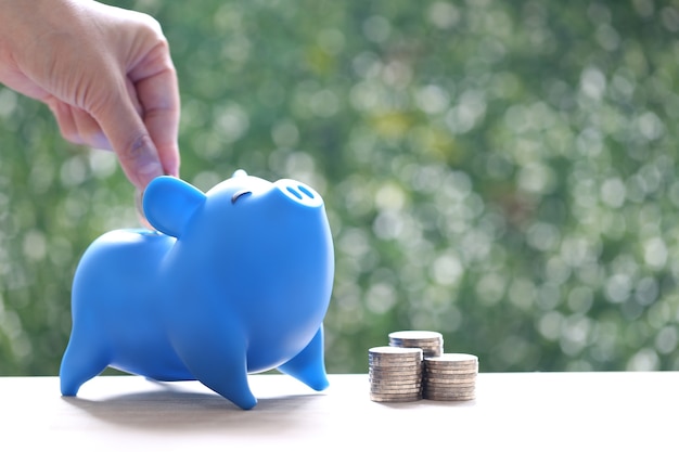 Stack of coins money and piggy bank on natural green background