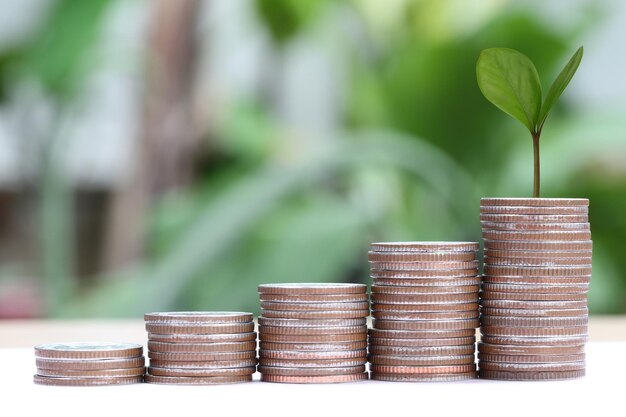 Stack of coins on table