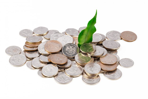 Stack of coins on the table