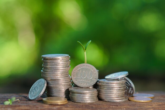 A stack of coins with a plant growing out of it