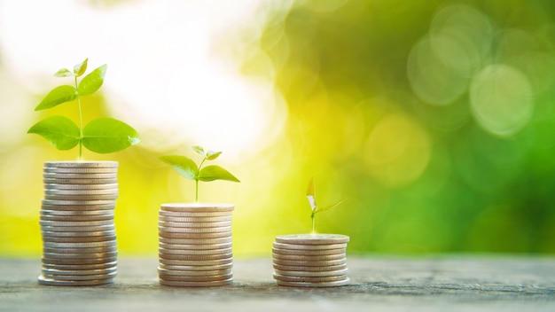 Stack of coins on wooden table with green nature